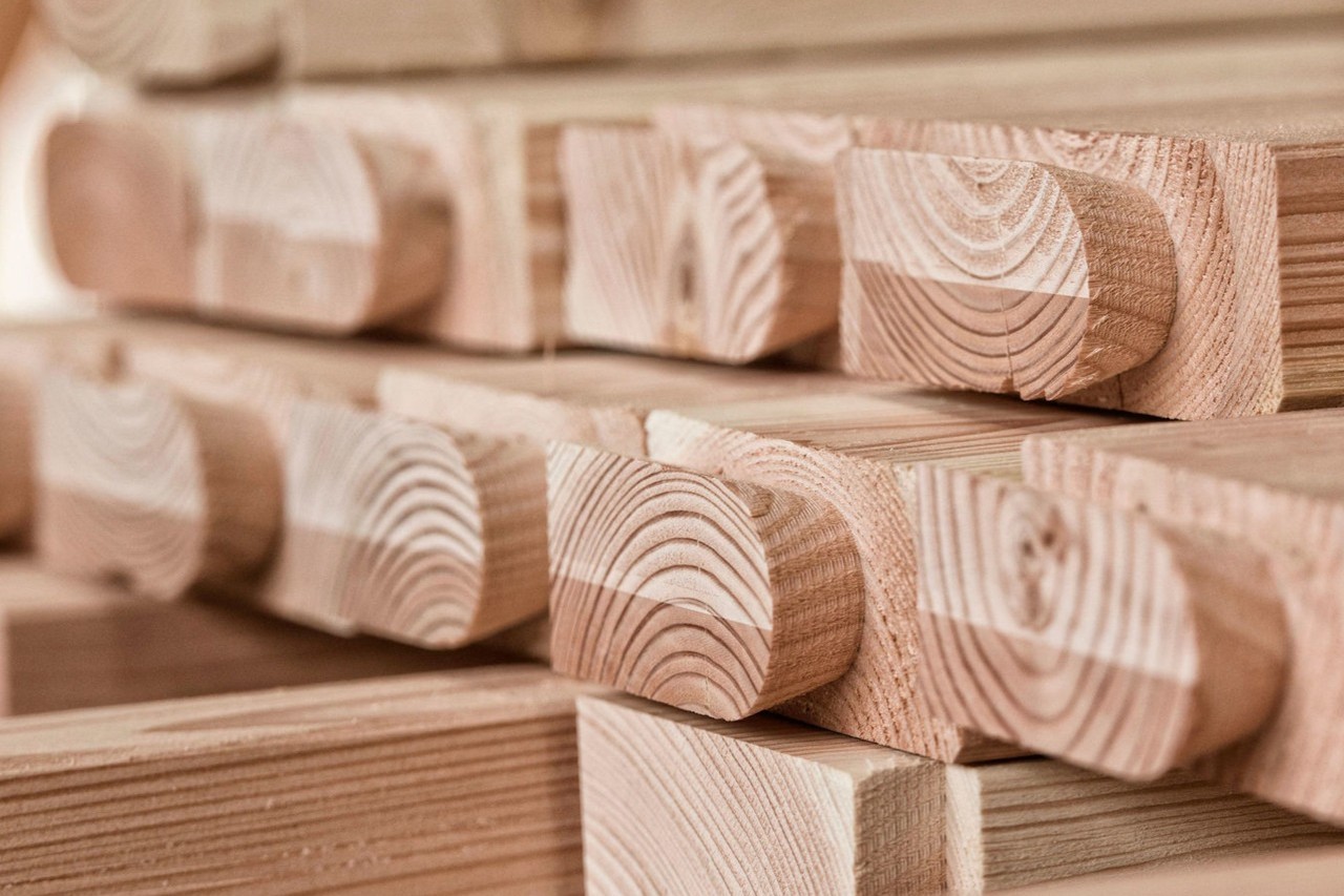 Douglasie für Remise